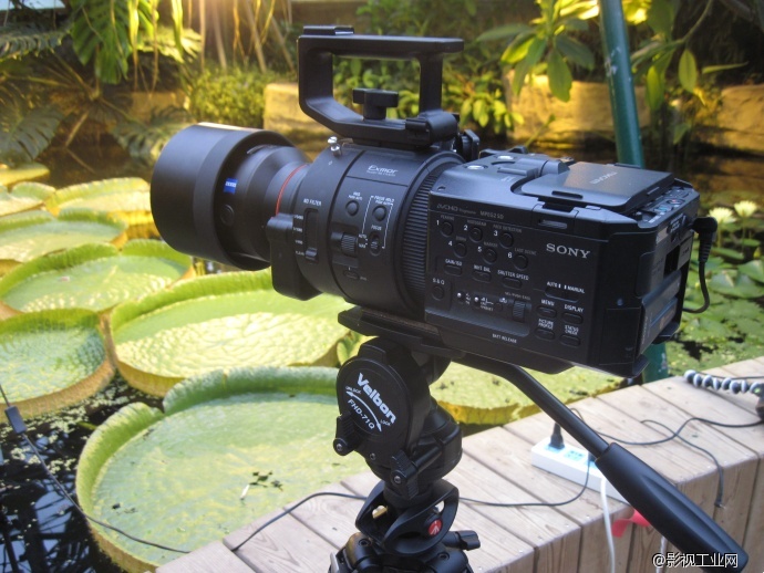 CCTV-7 自然纪录片《追踪植物的红娘》创作手记之——SONY NEX-FS700篇
