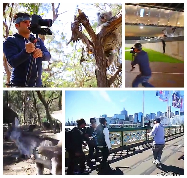 【极限运动总是需要一个极限摄影师】去悉尼除了拍摄悉尼大剧院，别忘了还有袋鼠和考拉！你绝对不敢相信这全部是手持拍摄的个人“游记”！！