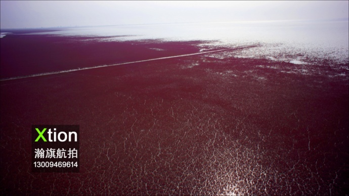 瀚旗航拍，镜头下震撼的自然景观-红海滩