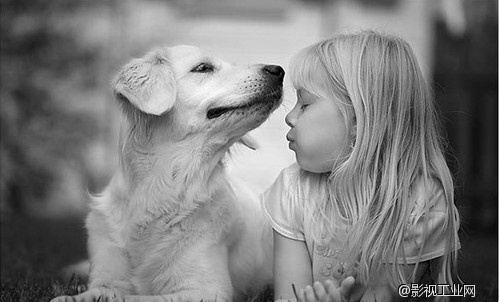 光线利用好拍出不一样的照片