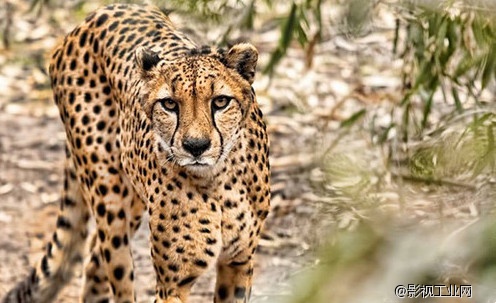 光线利用好拍出不一样的照片