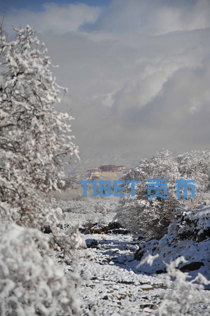 拉萨雪景