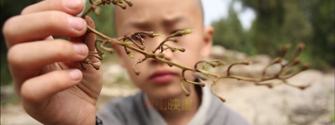 微电影配光调色：《云居寺传奇·经系列》之老虎塔