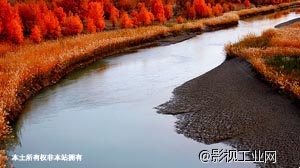 新疆影视协拍网景点收集–塔里木河 新疆影视协拍网景点收集–塔里木河