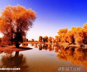 新疆影视协拍网景点收集–塔里木河 新疆影视协拍网景点收集–塔里木河