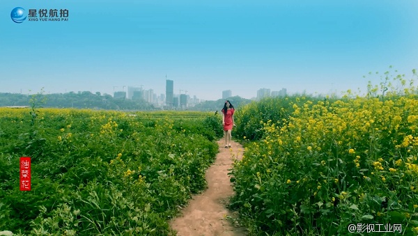 星悦航拍团队【油菜花】小样，航拍中的跟拍