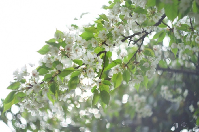 【我的松下】DMC-GX1