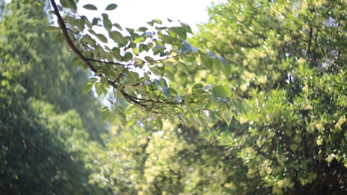 【我的松下】DMC-GX1