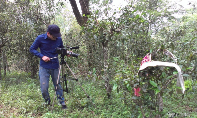 「茶山紀錄片」預告