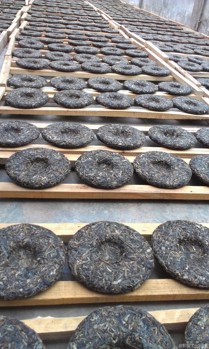 「茶山紀錄片」預告