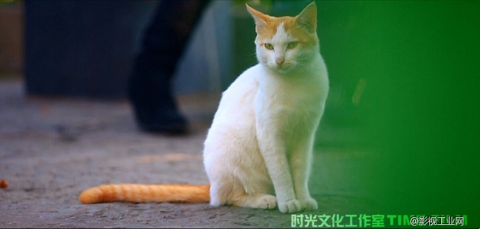 《为梦出发之厦门》创作手记