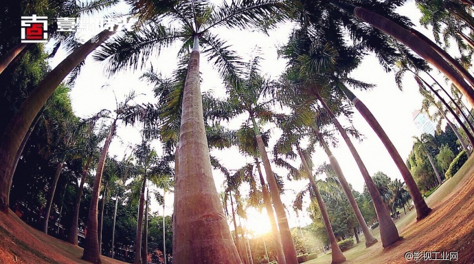 《为梦出发之厦门》创作手记