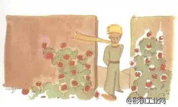 《小王子》：请问，你能给我画一只绵羊吗？