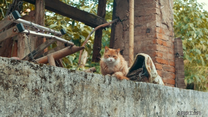 [Panasonic] LX100 4K测试 古街