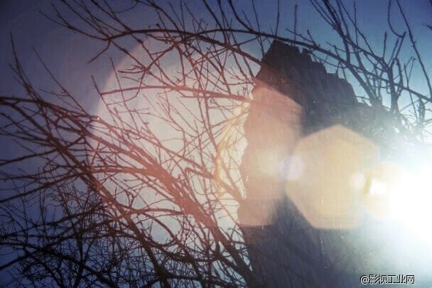 芦苇塘-导演程博精神世界根源文字