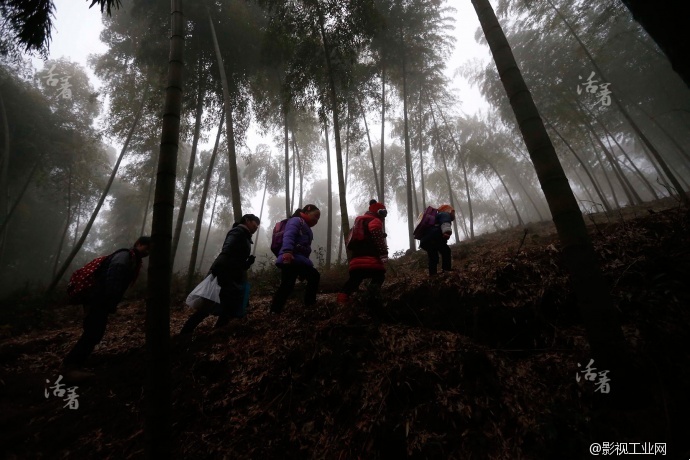 狮子座传媒对话|大山之巅的学校