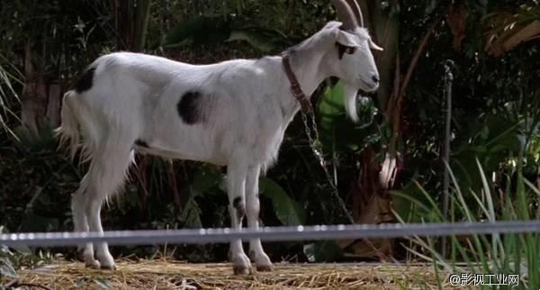 浅谈《侏罗纪世界》前世今生