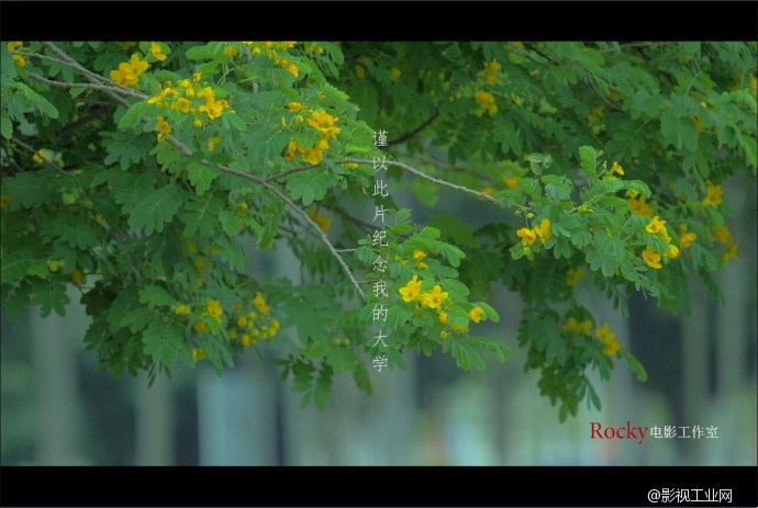 【映像4K·松下视频大赛】《大学时光》+gh4（附4K和1080P成片下载）