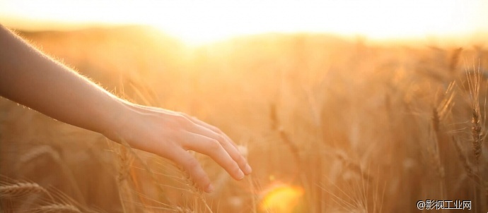 不要让中秋团圆，变成一句空话