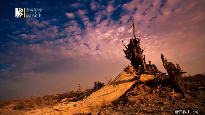 《永恒大地》——新疆，那些即将逝去的风景