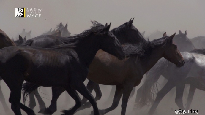 《永恒大地》——新疆，那些即将逝去的风景
