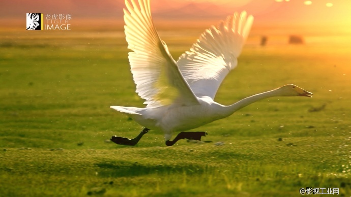 《永恒大地》——新疆，那些即将逝去的风景