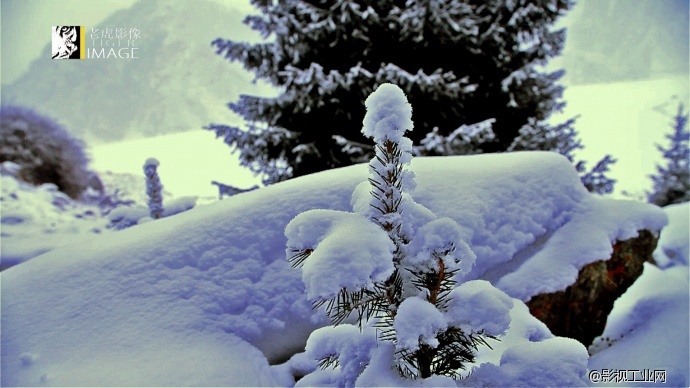 《永恒大地》——新疆，那些即将逝去的风景