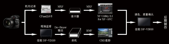 全面革命，EOS C300 Mark II进化记