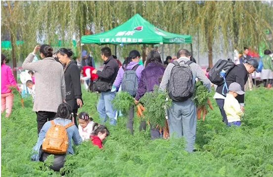 田间惊现“爱的收获”千人火锅大趴——智慧农业引发关注