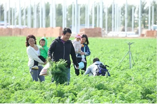 田间惊现“爱的收获”千人火锅大趴——智慧农业引发关注