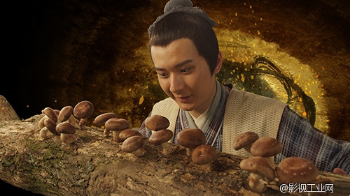 古韵史话《香菇之源》，用唯美的画面再现香菇人工栽培的始源