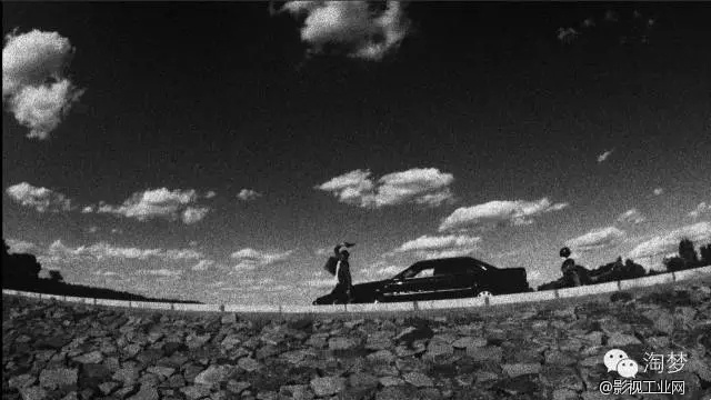 《野生动物》导演创作手记,没有什么比坚持拍摄出来更重要