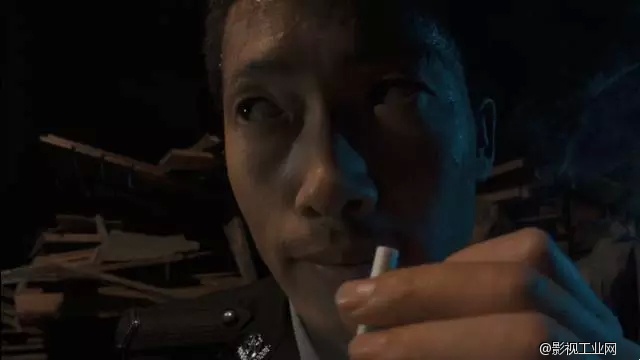 《野生动物》导演创作手记,没有什么比坚持拍摄出来更重要