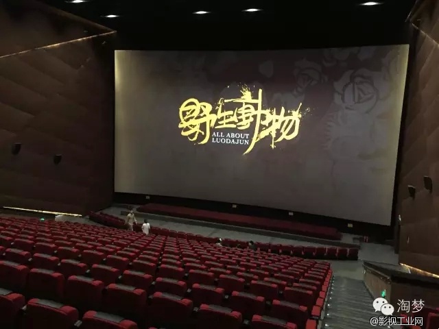 《野生动物》导演创作手记,没有什么比坚持拍摄出来更重要