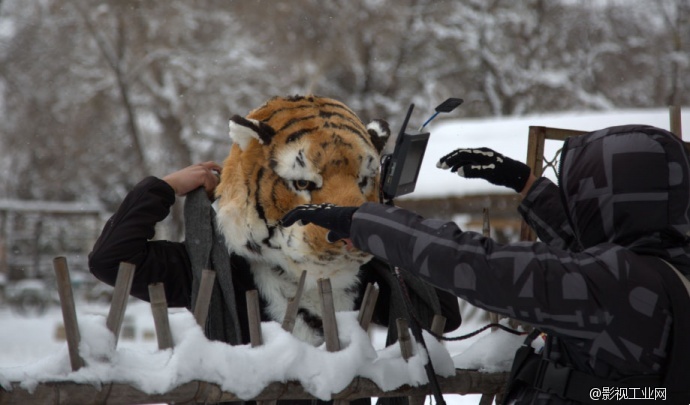 【映像4K·松下视频大赛】Mr.Tiger和他关于雪的表达式