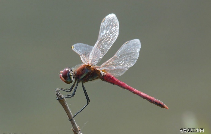 如何用自然音效为你的视频增加逼格?