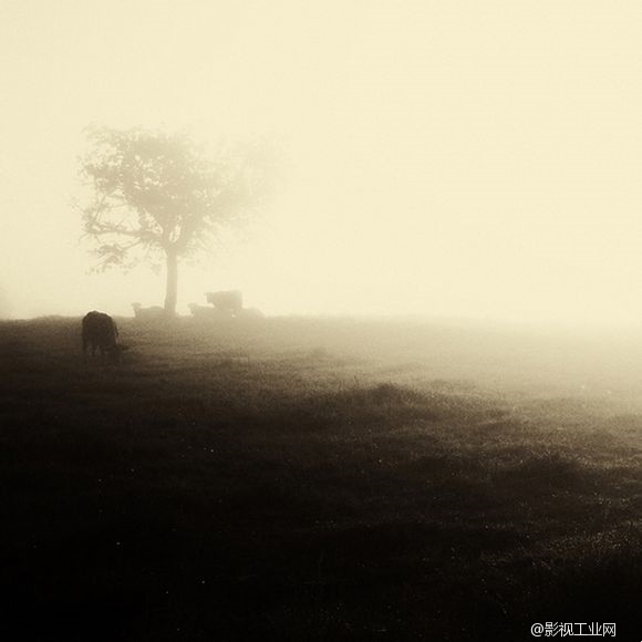 如何在雾霾天拍出好照片？