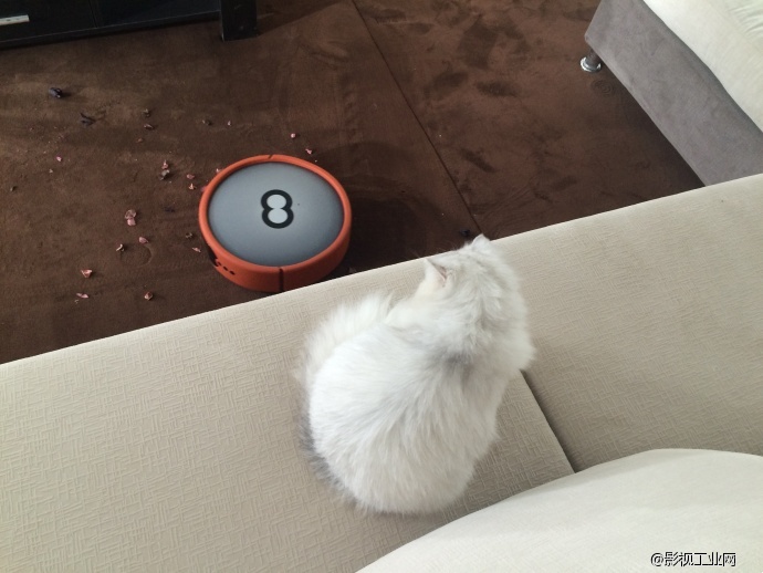 当萌猫遇上扫地机器人!—亿动力影视基地入驻剧组最新广告拍摄花絮