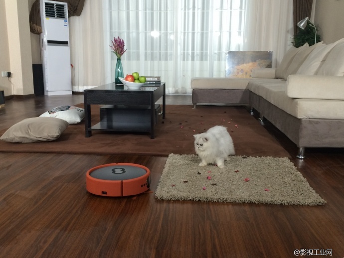 当萌猫遇上扫地机器人!—亿动力影视基地入驻剧组最新广告拍摄花絮
