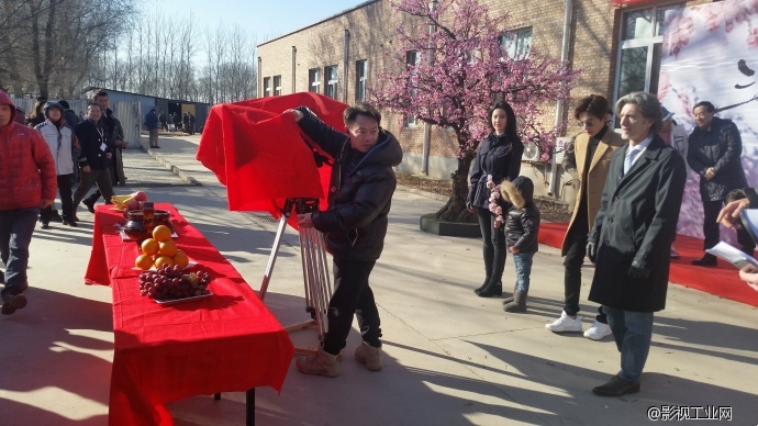 卡梅隆佩斯中国集团携全球顶尖3D直拍技术助阵《三生三世十里桃花》