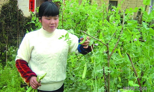 相亲妹子让我看清中国妇联的巨大野心