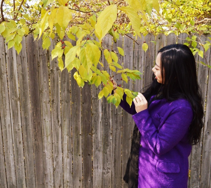 业余人士的一点关于涂鸦以及摄影的小作品