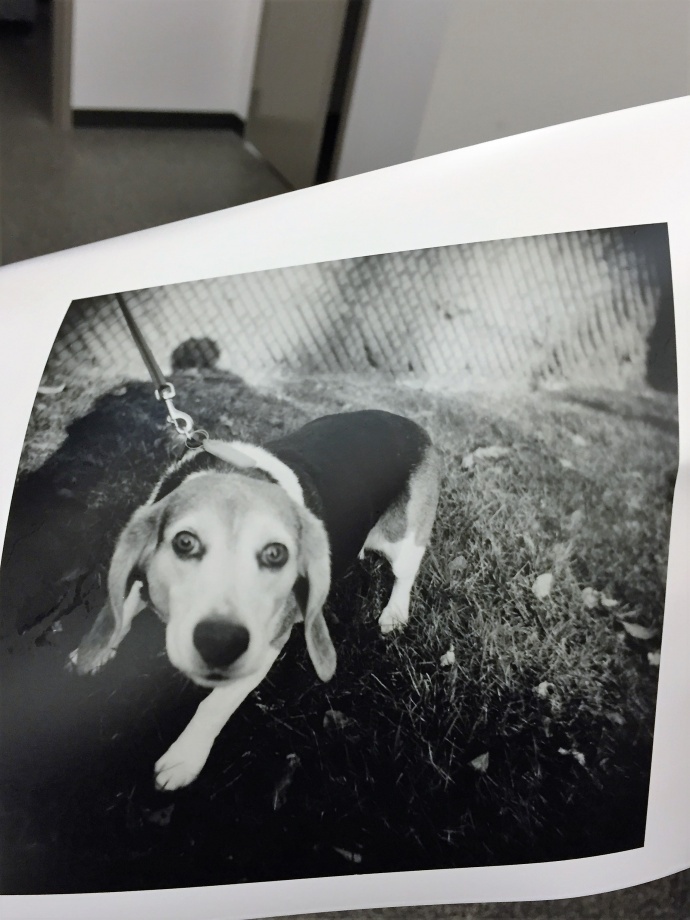 业余人士的一点关于涂鸦以及摄影的小作品