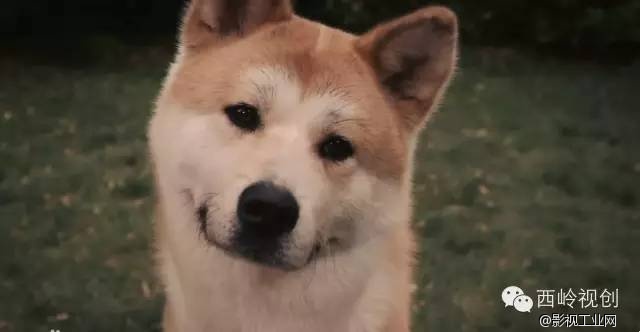 “1·05”纵火劫难之后，让我们一起治愈吧