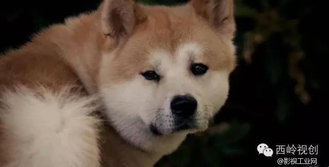 “1·05”纵火劫难之后，让我们一起治愈吧