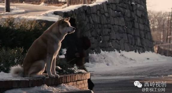 “1·05”纵火劫难之后，让我们一起治愈吧