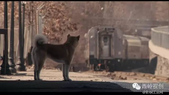 “1·05”纵火劫难之后，让我们一起治愈吧