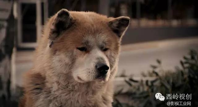 “1·05”纵火劫难之后，让我们一起治愈吧