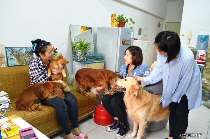 狗狗演员背后的故事-逗爱dogcare乖乖碗拍摄视频