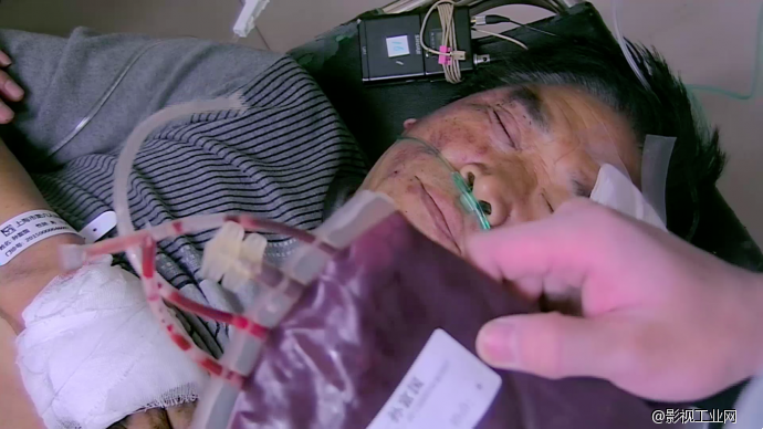 速度还是生命——电瓶车上的生死抉择